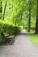 wooden bench in park near bushes and trees photo
