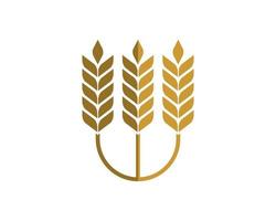 Three wheat with branch in gold colors vector