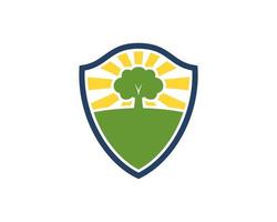 Simple shield with shinning nature tree vector