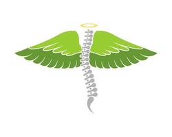 Flying spine with green wings vector