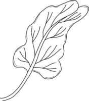 Plant. Big leaf. Vector illustration.Linear doodle element for design and decor.