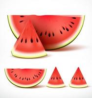 Set of sliced ripe red watermelon in 3d realistic detailed vector isolated in white background.