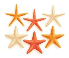 3D Realistic Set of Vector Starfish with Different Colors for Summer Design Elements Isolated in White Background.