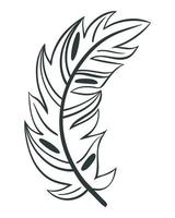 Ilustración de vector de pluma de pájaro hermoso curvo