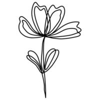 Flower line art isolated vector illustration