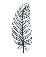 Stylized bird feather isolated vector illustration