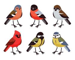 Vector set with cute little birds in cartoon style. Song birds, winter birds. Red cardinal, bullfinch, tit, finch and sparrow.