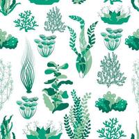 seamless pattern with various green algae in flat style vector