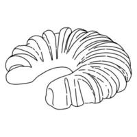 Twisted roll.cakes en el estilo de doodle.outline dibujo a mano.Imagen en blanco y negro.monochrome.bakery.sweets.sponge roll con semillas de amapola.Ilustración de vector