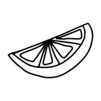 Half a slice of lemon, orange, grapefruit drawn in the style of Doodle.Outline drawing by hand.Black and white image of fruit.Monochrome fruit pattern.Vector illustration vector