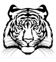 Tiger head. Tiger head isolated on background. vector