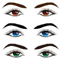 Set of beautiful brown, blue and green female eyes with thick black eyelashes. vector