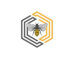 Flying bee inside the hexagon stripes vector