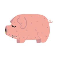 Sick Pig  Swine Flu  with a group of viruses vector