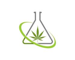 Laboratory test tube with cannabis leaf inside vector