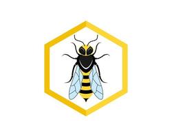 Hexagonal bee hive with queen bee inside vector