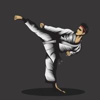Ilustración vectorial de un hombre de karate haciendo una patada vector