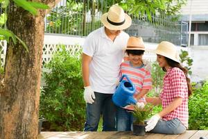 mañana de vacaciones en familia únase a la actividad de plantación de árboles en el patio trasero. foto