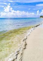 Tropical mexican beach panorama Playa 88 Playa del Carmen Mexico. photo