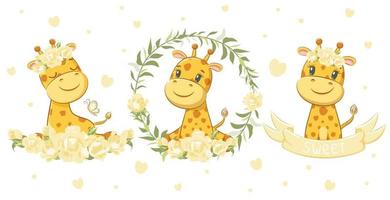 un juego de 3 lindas y dulces jirafas. ilustración vectorial de una caricatura. vector