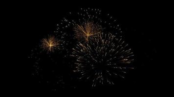 Beautiful fireworks display motion graphic video