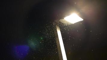 insectos dando vueltas cerca de la linterna brillante.