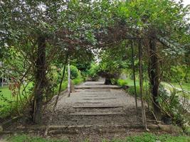 beautiful photo of jasmine tree gate