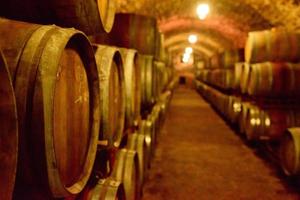 Wine barrels in wine-vaults in order. Wine bottle and barrels photo