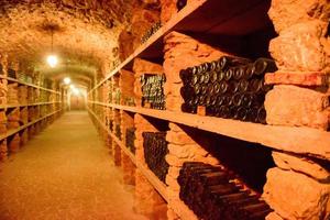 Red wine bottles in a cellar photo