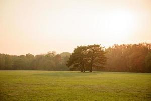 Beautiful autumn landscape with yellow trees and sun photo