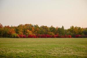 Beautiful autumn landscape with yellow trees and sun photo