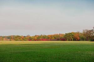 Beautiful autumn landscape with yellow trees and sun photo