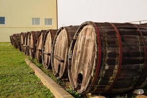 Wine barrels in wine-vaults in order. Wine bottle and barrels