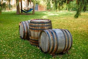 Wine barrels in wine-vaults in order. Wine bottle and barrels photo