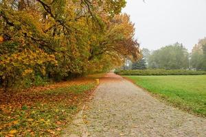 Beautiful autumn landscape with yellow trees and sun photo