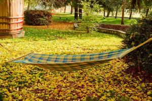 Beautiful autumn landscape with yellow trees and sun photo