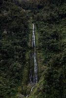 waterfall hidden in the forest photo