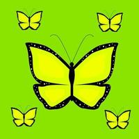 beautiful butterfly vector