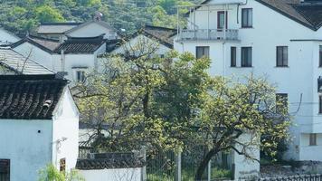 The beautiful traditional Chinese village view with the classical architecture and fresh green trees as background in spring photo