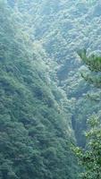 The beautiful mountains landscapes with the green forest and little village as background in the countryside of the China photo