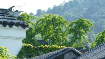 la hermosa vista del pueblo chino tradicional con la arquitectura clásica y árboles verdes frescos como fondo en primavera foto