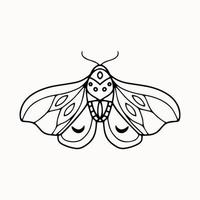 Line art of mystical esoteric moth with crescent moon and ornament vector