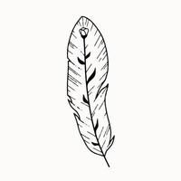 Line art of mystical esoteric feather with flower inside vector