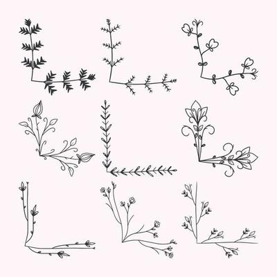 hand drawn flower border decoration element collection