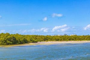 Panorama landscape view Holbox island nature beach turquoise water Mexico. photo