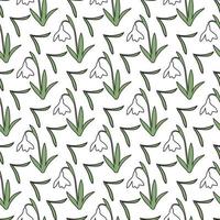 snowdrop flower Seamless Pattern Design vector