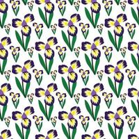 Flor de iris y hojas de diseño de patrones sin fisuras con fondo blanco. vector