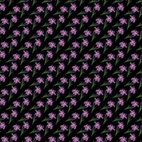 Iris flower Seamless Pattern Design with black background vector