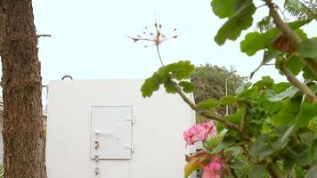 Refugio antiaéreo móvil dentro de un jardín en casa en Israel video