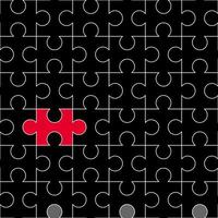A set of puzzles jigsaw that all are connected. Every single piece is grey but there is a red one.